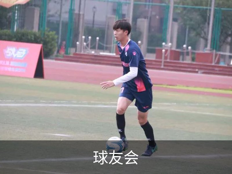 球友会概况